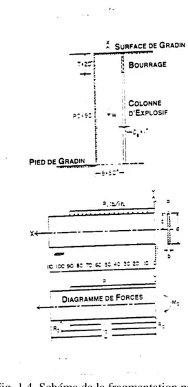 Fig. 1.4  Schéma de la fragmentation par la rupture                 flexurale (d’après Ash,1979) 