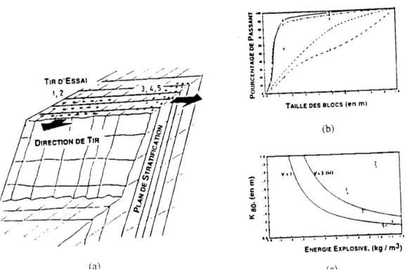 Figure 1.7 L’effet de l’orientation du tir par rapport à l’orientation de la famille principale  des discontinuités dans le massif (a) schéma des essais de tir (b) distribution de tille des  blocs pour les essais de tir (c) taille des blocs à 80% de passan