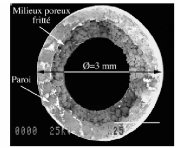 Figure 2.6 : photo au microscope électronique d’une section transversale d’un mini caloduc 
