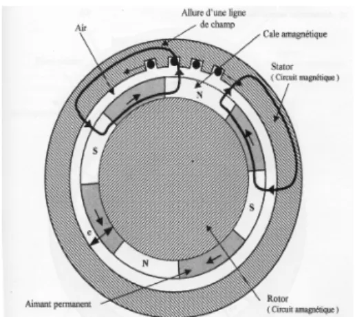 Fig. .C. MSAP (p=4), avec pièces polaire Fig. .D. MSAP (p=2), avec pièce polaires