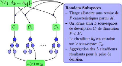 Illustration du principe de la méthode Random Subspace pour un ensemble 