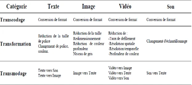 Tableau 3.2. Adaptations des médias (Derdour, 2012). 
