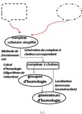 Fig. 1.2 – (c) calcul d’homologie et localisation à partir de structures de complexe