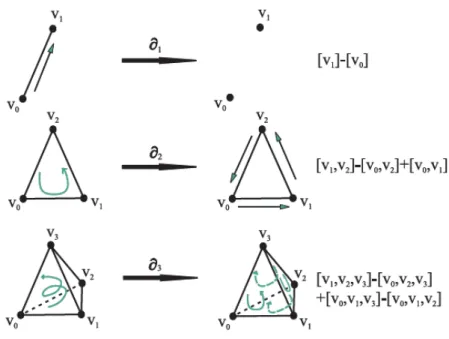 Fig. 2.5 – Fonctions ou homomorphismes de frontière pour les simplexes de dimension 1, 2 et 3