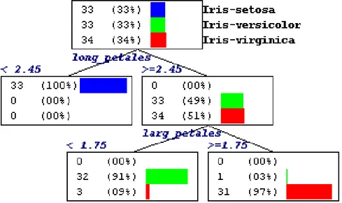 Figure I.5: Un exemple d'arbre de décision pour la classification de 100 individus pris de 