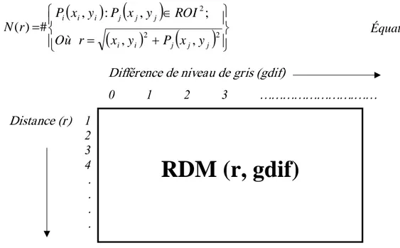 Figure III.5: Run difference matrix (RDM). 