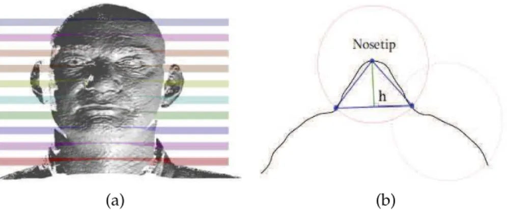 Figure 2.4 – An illustration of 3D facial nosetip detection. Horizontal planes for 3D