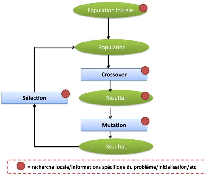 Figure 3.10 Principe d‘un algorithme Mémétique 