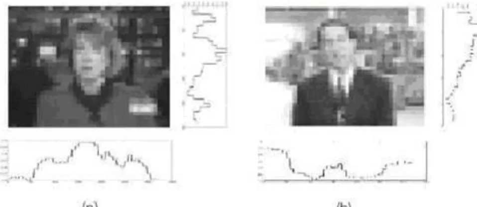 Figure 1.4 - Méthode basée sur la projection : a)L'image dans laquelle un candidat de visage 