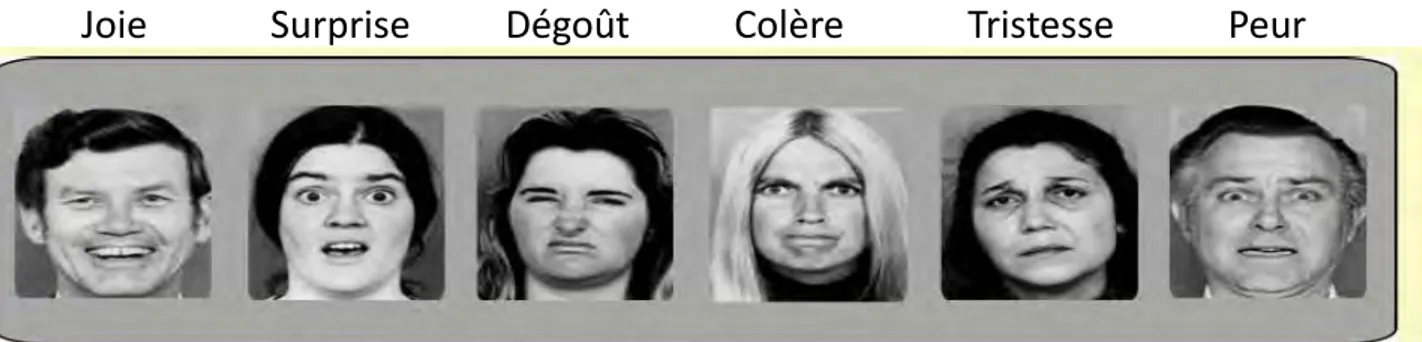 Figure 3.1 : Les six expressions faciales universelles (Ekman, W.Friesen, &amp; Ellsworth, 1972) 