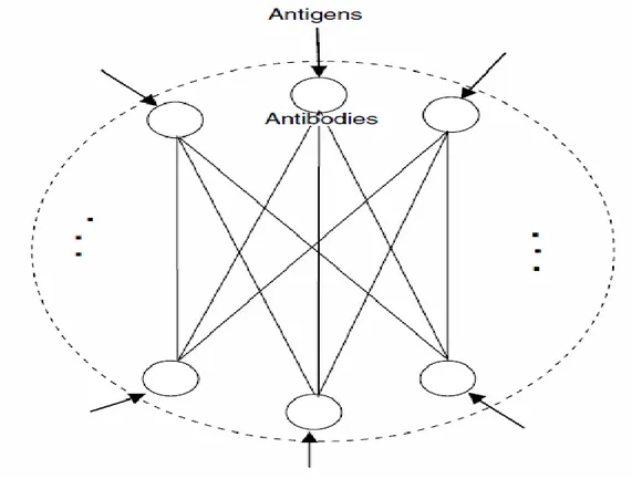 Figure 2.4.   Illustration d‘un réseau immunitaire, les nœuds, arêtes et flèches  représentent les anticorps, les interactions entre eux, et la stimulation de l'AIN  