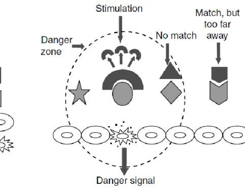 Figure 2.5.   Modèle de la théorie du danger [AIC 14]. 