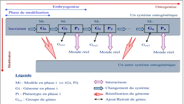 Figure 1.1. L'évolution selon Mage 