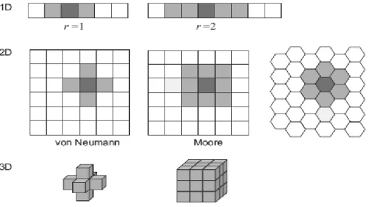 Figure 3.6. Quelques types de voisinage pour des représentations à une, deux et trois dimensions