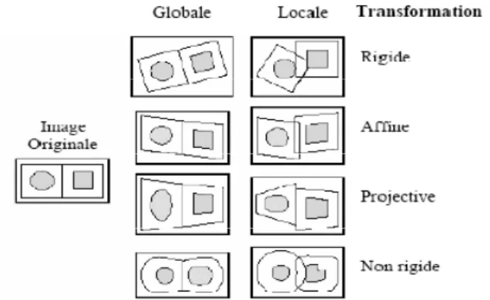 Figure II-2 : Differents type de transformations [Mai98] 