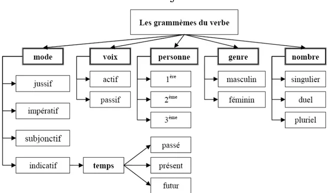 Figur e I I -3 : Significations flexionnelles ou gr ammèmes du ver be [Al-K assas 2005] 