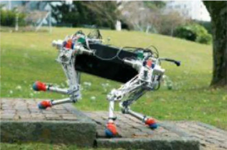 Figure 11: robot StarlETH quadrupel plateforme (Springy Tetrapod with Articulated  Robotic Legs) image tirée de [43] 