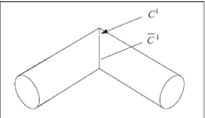 Figure 2.20 –  Modèle d'objet à facettes, point singulier le long d'une courbe    . 