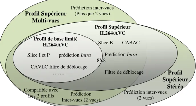Figure 2.12. Les  différents  profils  et  outils  supportés  par  la  compression  de  la  