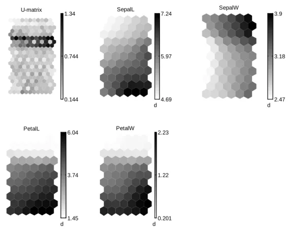 Figure 2.10--Différentes visualisation de la SOM : u-matrice et Les cartes de distribution