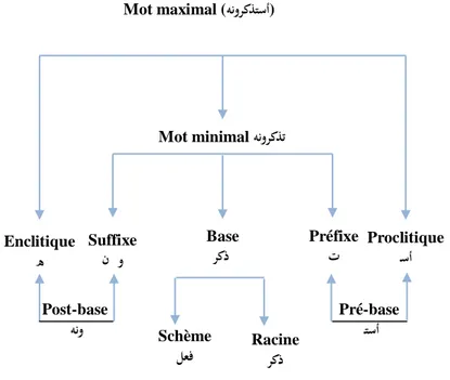 Figure 2.2 : Modèle du mot graphique en arabe appliqué pour le mot « هنوركذتسأ » 