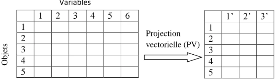 Figure 3. 2--Représentation schématique de la projection vectorielle  3.2.3 Source historique et principes  