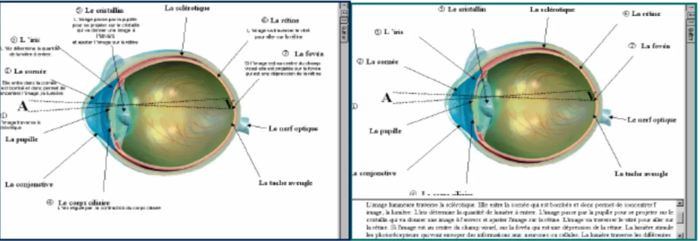 Figure 6 : Version intégrée et séparée des schémas, d’après Jamet (2000) 