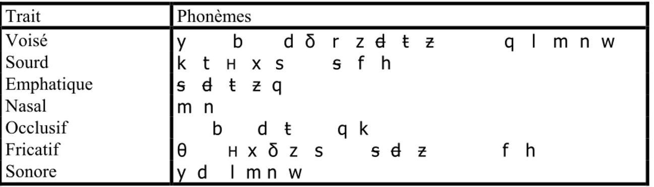Tableau I.3. Classification des phonèmes arabes selon les traits distinctifs (source [Harkat 89]) 