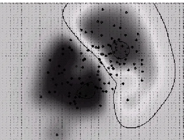 FIG 3.7 –  Frontière de décision non linéaire [AYA 04] 