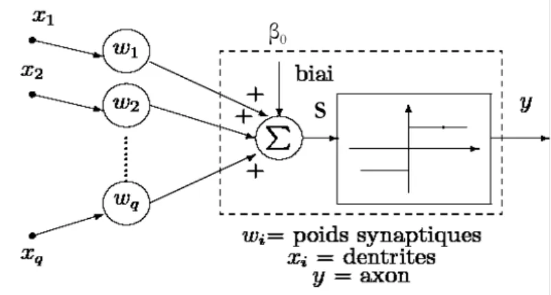Figure 5. Un neurone formel  