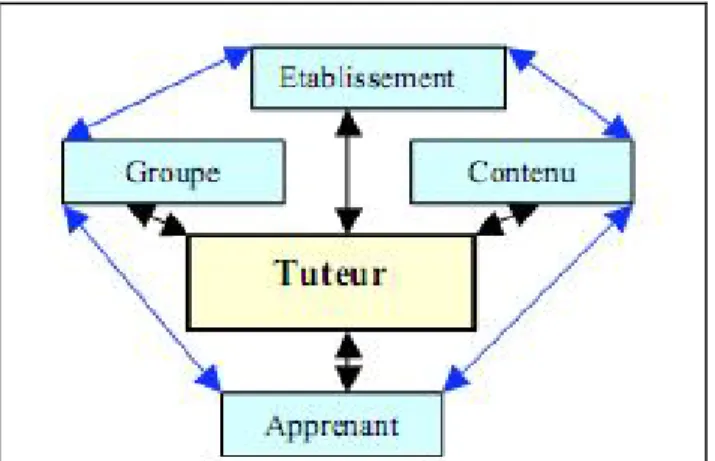 Figure 2.1 : Le tuteur &#34;liant &#34; [Auvergne &amp; Carrey, 2004] 
