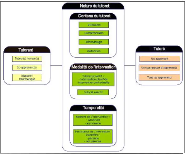 Figure 2.3 : Modèle d'organisation du tutorat [Gounon, 2005] 