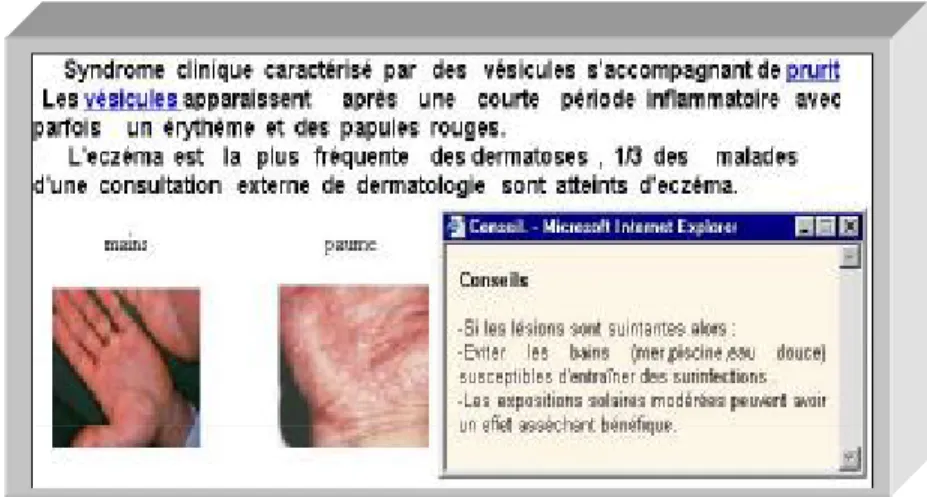 Figure 1.11: Document Multimédia avec ses attributs  1.10.2.1.e) Générateur de Cours 