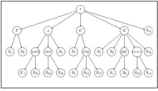Figure 2.6: Un arbre de suffixes 