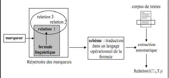 Figure 15: Relation entre marqueur et schéma (Séguéla, 2001). 