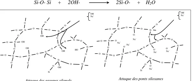 Figure I.6 Attaque des groupes silanols et siloxanes des granulats siliceux par les alcalins  [Dent Glasser, 1981]