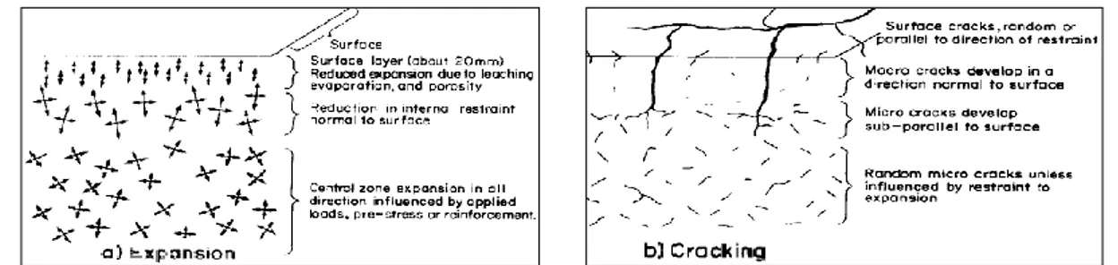 Figure I.12 Fissures de l’RAS dans une poutre en béton armé [Courtier, 1990]. 