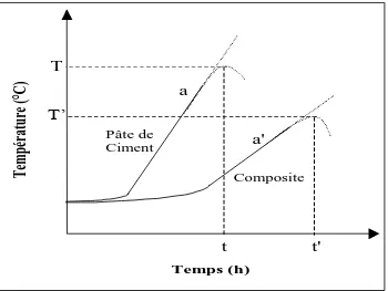 Figure 2.22 Exemple type de courbe température/temps lors de l’hydratation [75] 