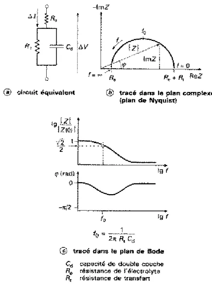 Figure II.7 : Circuit équivalent et tracé de l’impédance d’une cellule