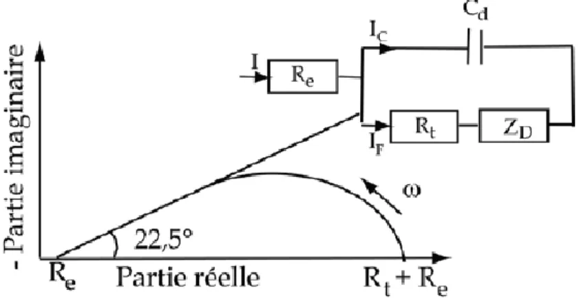 Figure II. 19 : Représentation, dans le plan de Nyquist, de l’impédance                          électrochimique, d’une électrode poreuse et circuit électrique                          équivalent