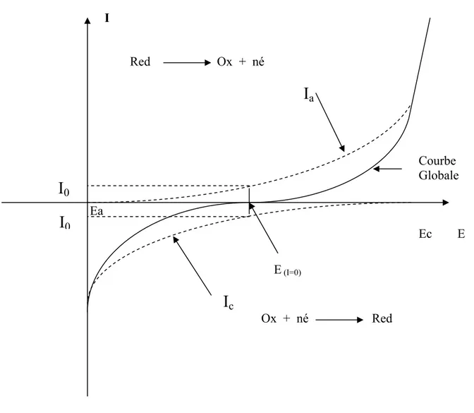 Fig III.8. Courbe intensité- potentiel théorique d'un système Red-Ox. 