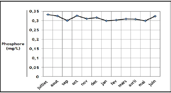 Figure 15 : Concentration annuelle du phosphore à la sortie de la STEP de Zrizer 