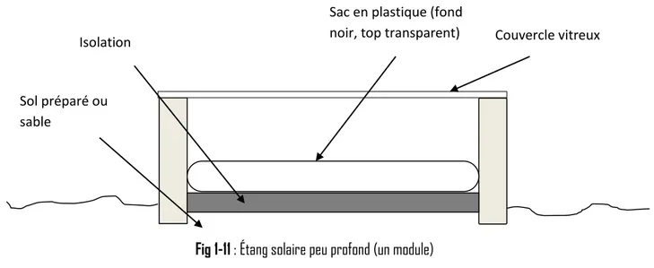 Fig 1-11 : Étang solaire peu profond (un module) 