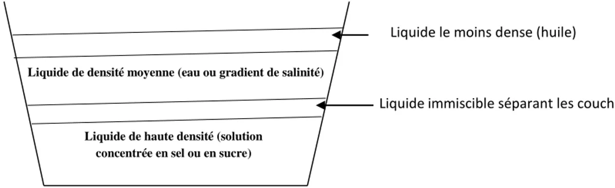 Fig 1-14   Étangs à plusieurs fluides immiscibles  1.9.5 Bassin convectif  