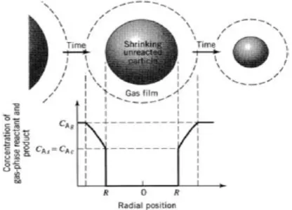 Fig. IV.3. Représentation des concentrations des réactifs et des produits dans le cas d’un  contrôle diffusionnel 
