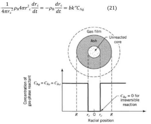 Fig. IV.5. Représentation de la particule réactive lorsque la réaction est sous contrôle  chimique 