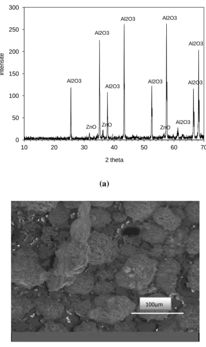 Fig. V.2. Spectre de diffraction des rayons X (a) et microscopie électronique à balayage (b) de  l’oxyde de zinc supporté ZnO/Al 2 O 3 