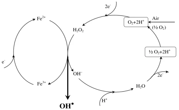 Figure II-5 : Représentation schématique de la production électrochimique des radicaux 