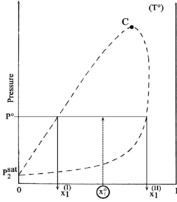 Figure II.1. Méthode du « point de bulle »                        Figure II.2. Méthode de « flash » 