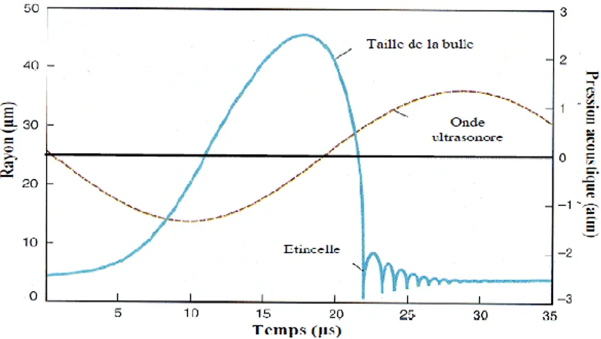 Figure I.5. Evolution du diamètre d‟une bulle de cavitation transitoire au cours d‟un  cycle ultrasonore (eau, 25 kHz) [35]